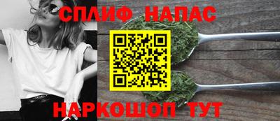 дживик Дубна