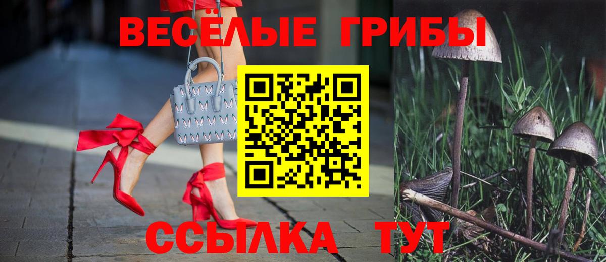 Нововоронеж  Галлюциногенные грибы Psilocybine cubensis  Вход с VPN 