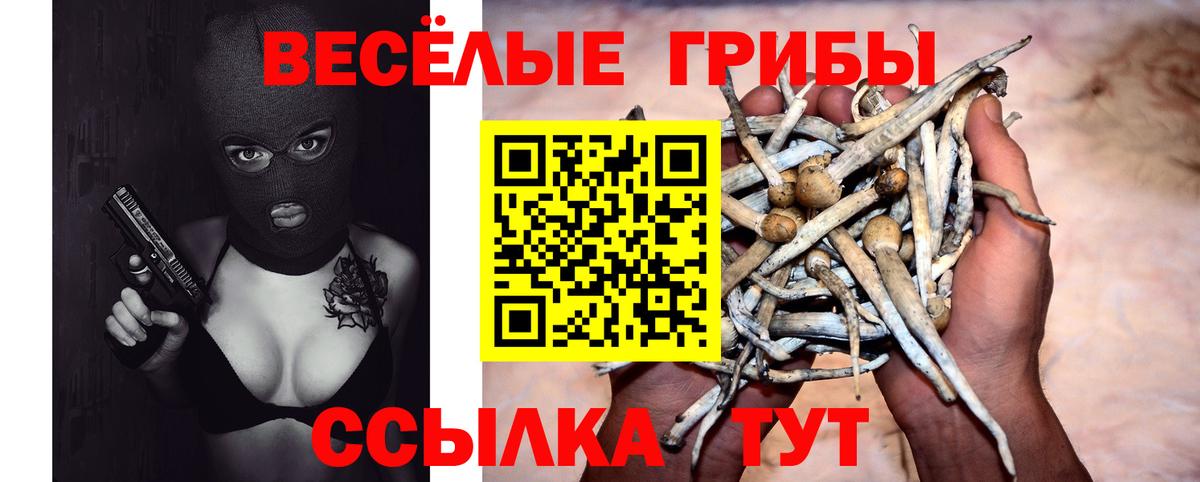 Псилоцибиновые грибы мухоморы Нововоронеж